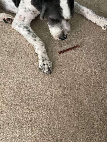 Customer photo review of PawProtect