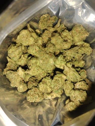 Customer photo review of Gushers (Indoor Smalls)