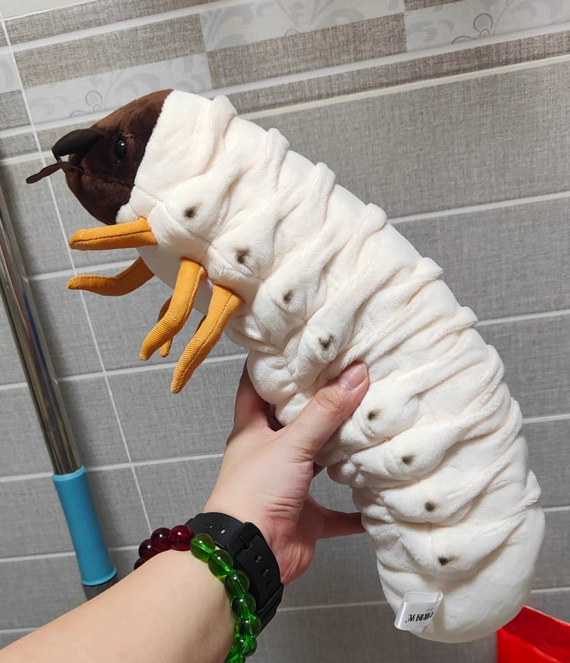 Customer photo review of Realistic White Grub Plush Toy – Lifelike, Soft, and Perfect for Bug Lovers