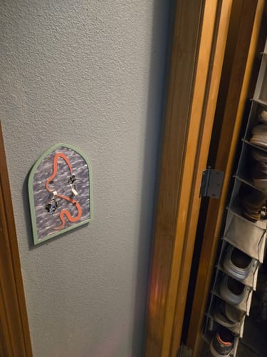 Customer photo review of Jester's Whimsy Light Switch Cover