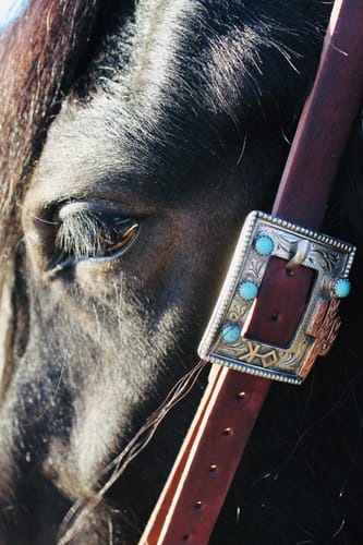 Customer photo review of Cart Buckle Style 01