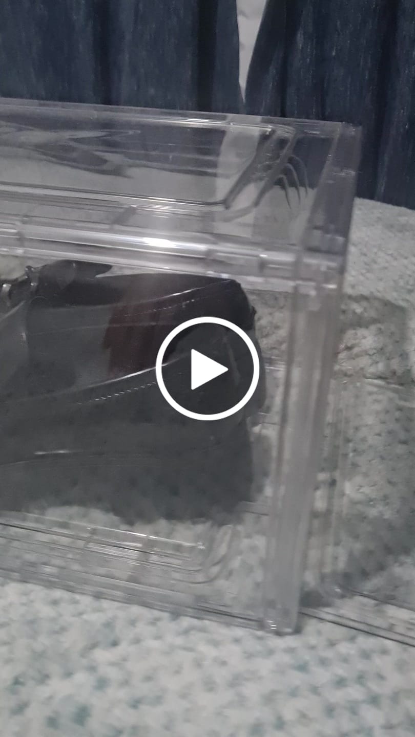 Customer video review of Caja Organizador de Zapatos Zapatera Apilable Cubo Para Calzado Apertura Frontal
