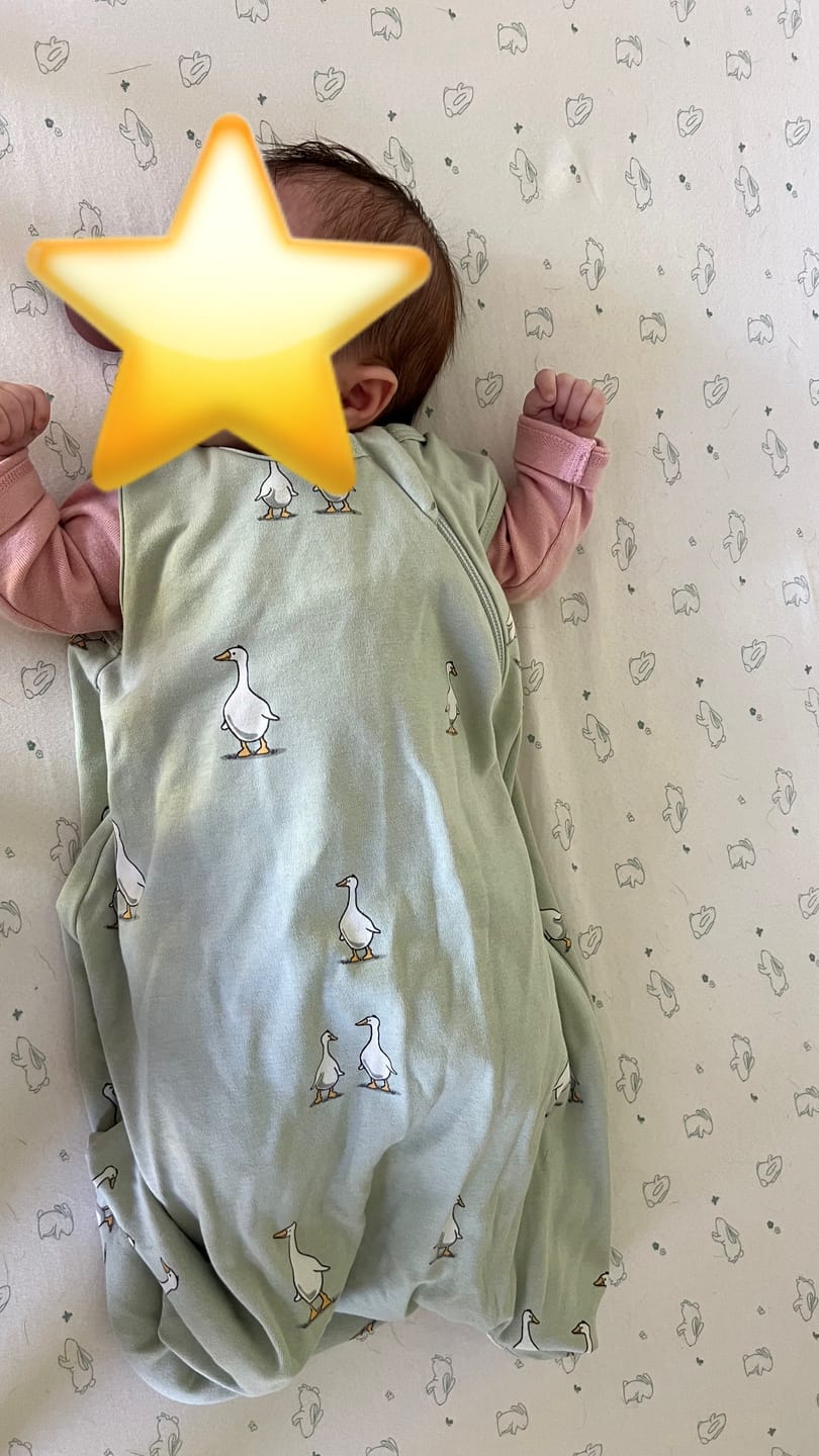 Customer photo review of Ecolino® Organic Cotton Classic Baby Sleep Bag or Sack, Goose