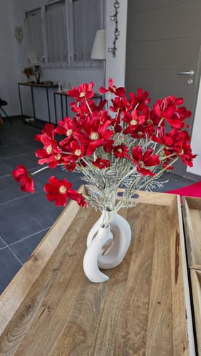 Customer photo review of Fleurs de Marguerite - Rouge (10 tiges)