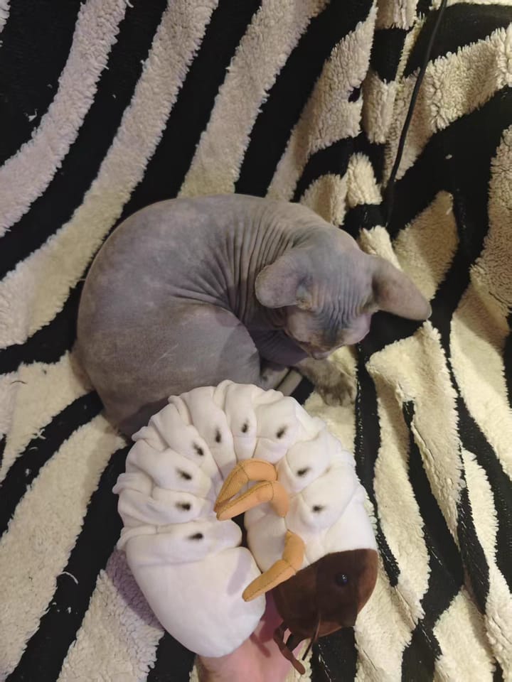 Customer photo review of Realistic White Grub Plush Toy – Lifelike, Soft, and Perfect for Bug Lovers