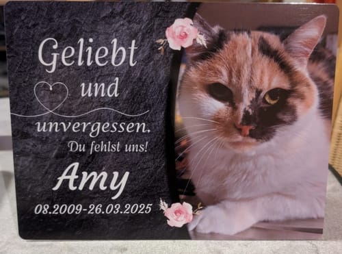 Customer photo review of Katzen Gedenktafel mit Foto & Spruch (UV- & Wetterfest)