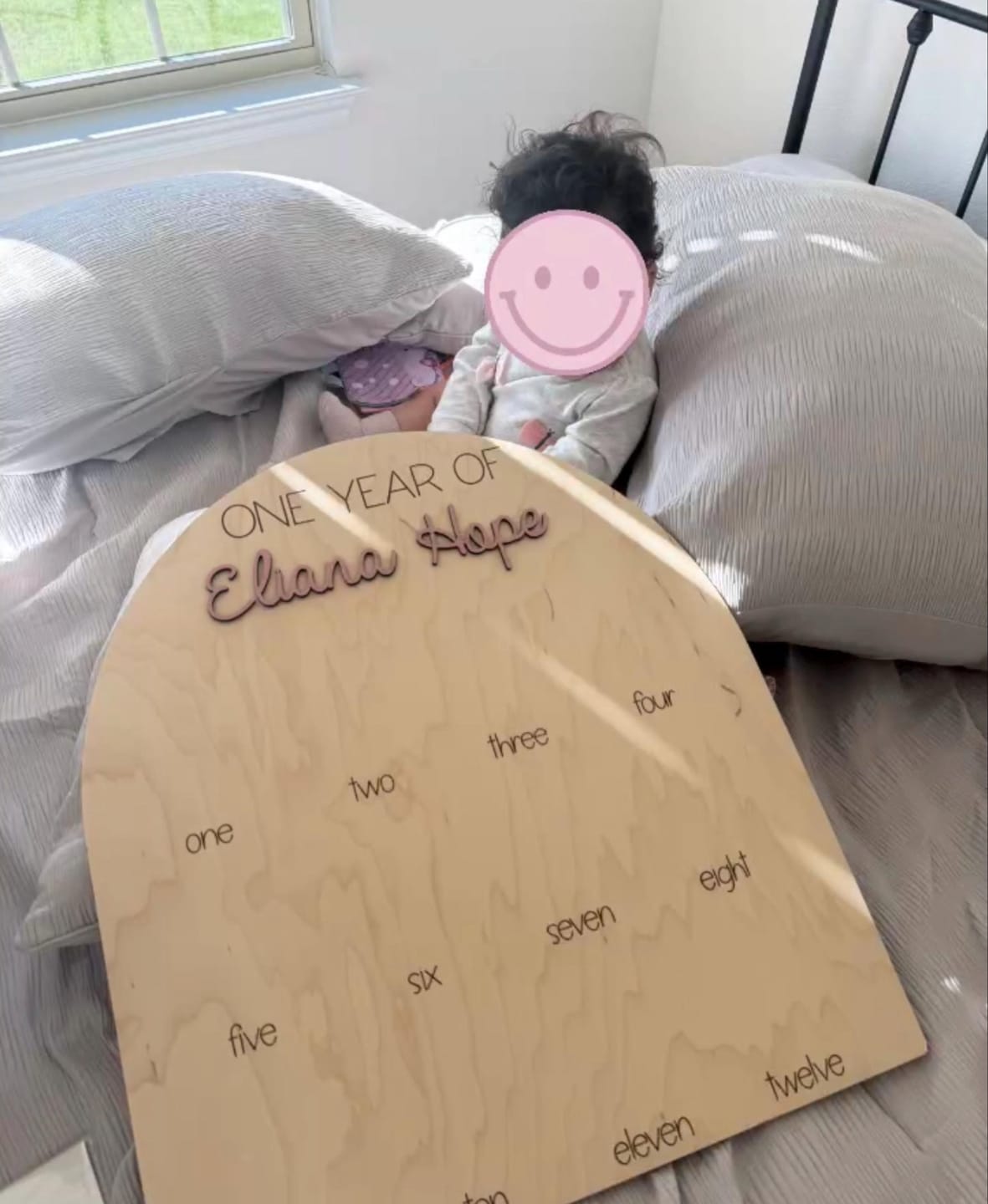 Customer photo review of One Year Of Photo Board