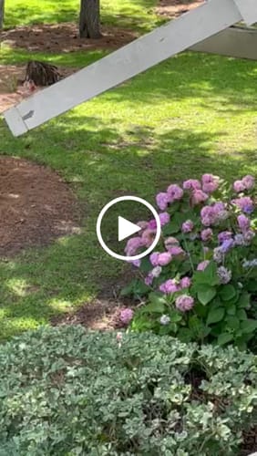 Customer video review of Federal Flags Summer '25 Baseball Cap