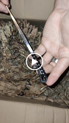 Customer video review of Viking Eating Spike