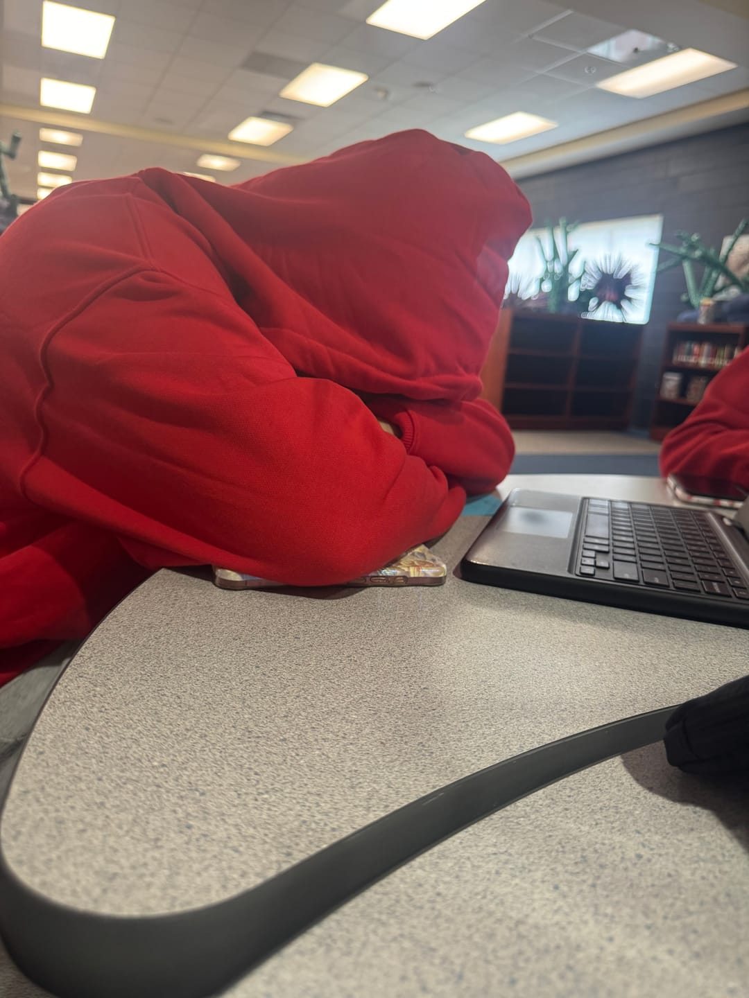 Customer photo review of Aelfric Eden Star Color Contrast Hoodie