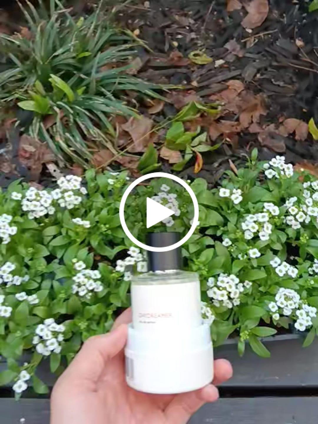 Customer video review of Daydreamer