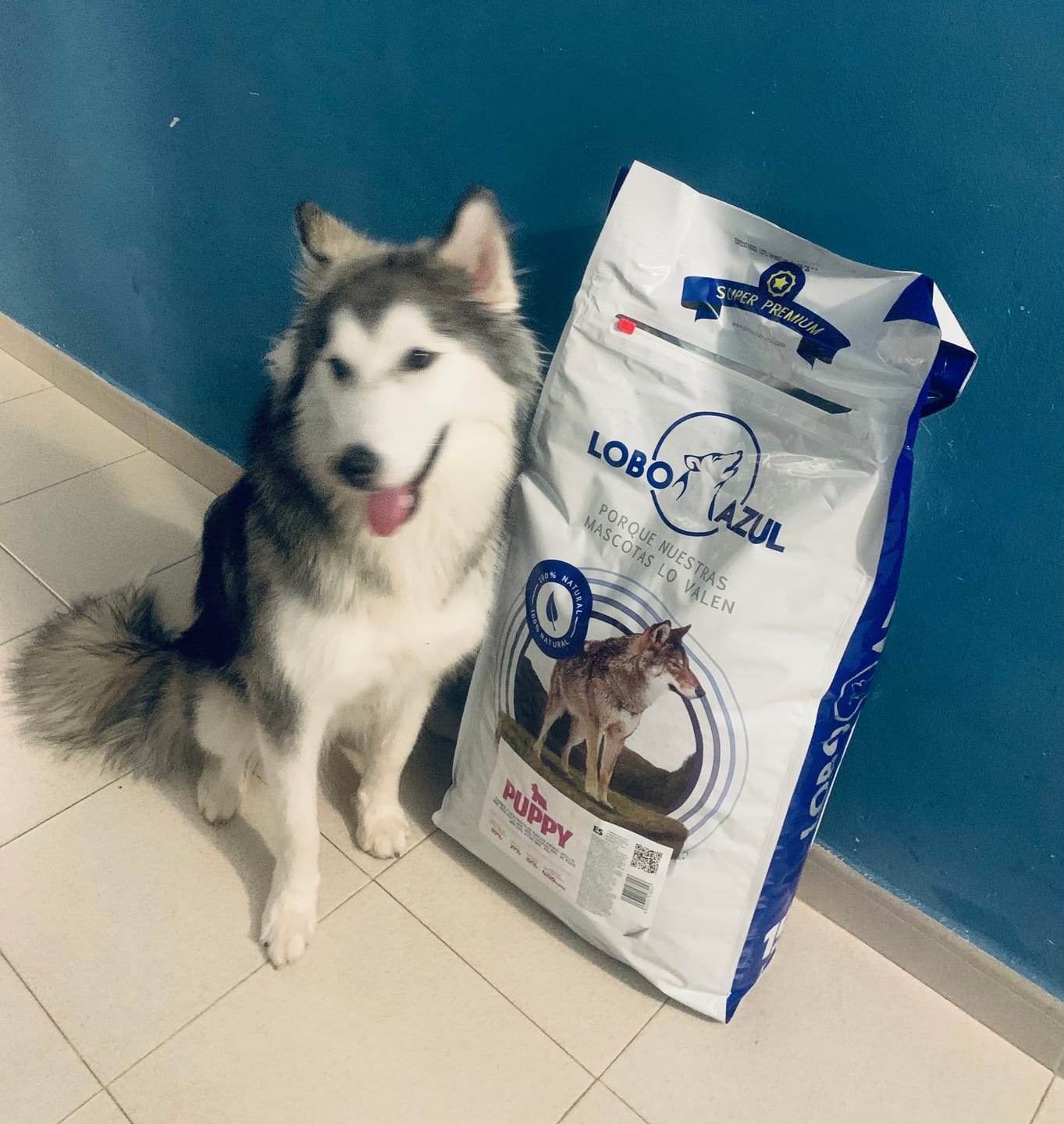 Customer photo review of Puppy