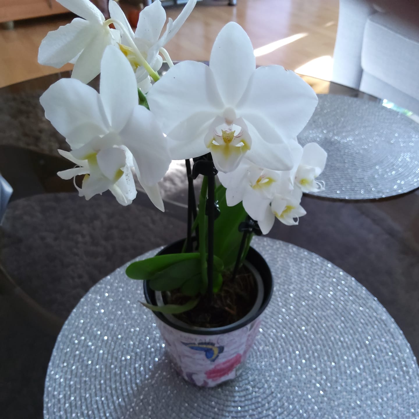 Customer photo review of Table Dance Weiß mit weißen Blüten und 2 Rispen