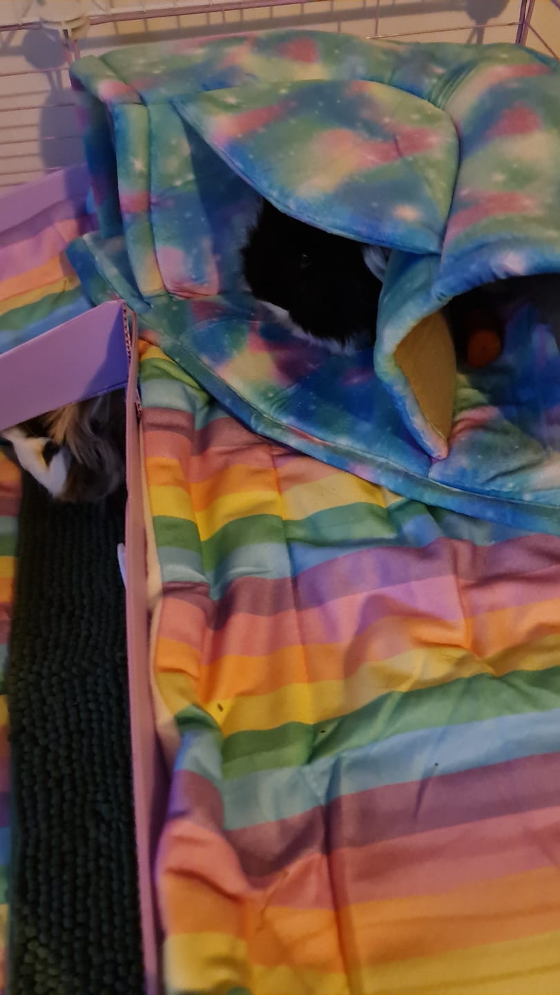 Customer photo review of Fleece Liners | Radiant Rainbow