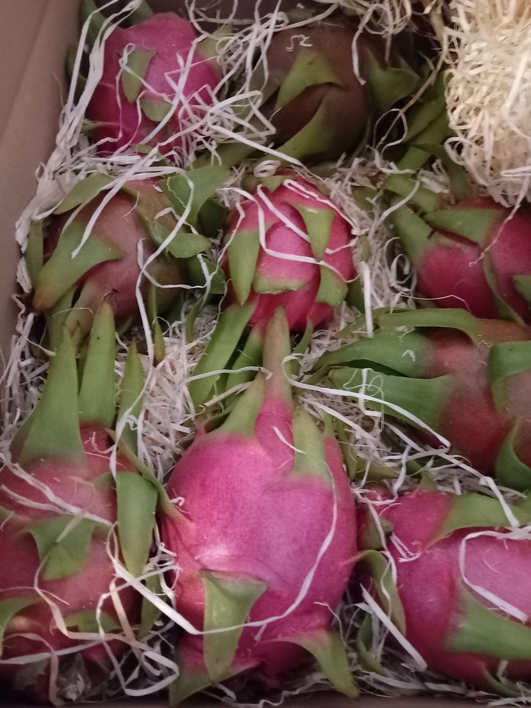 Customer photo review of Drachenfrucht rosa Bio Aktionswoche %