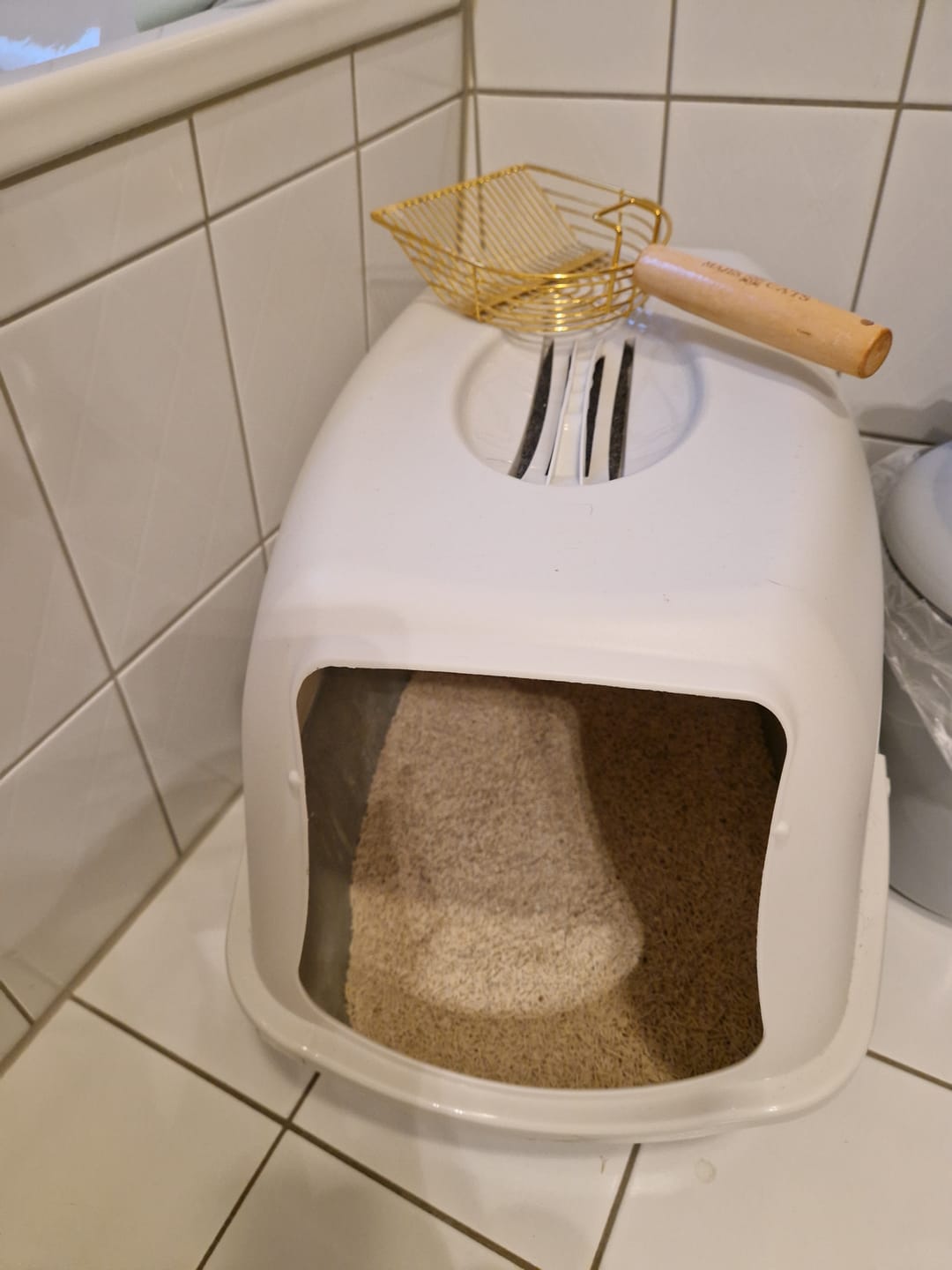Customer photo review of Katzen Gesundheits Ratgeber von Majescats