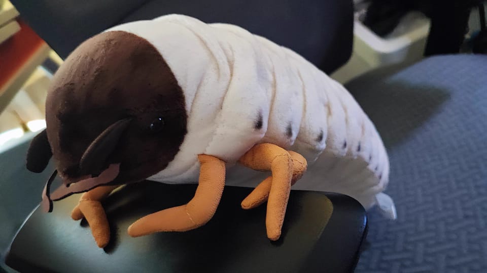 Customer photo review of Realistic White Grub Plush Toy – Lifelike, Soft, and Perfect for Bug Lovers