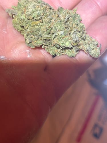 Customer photo review of Blue Dream Indoor THCA Flower Medium Buds