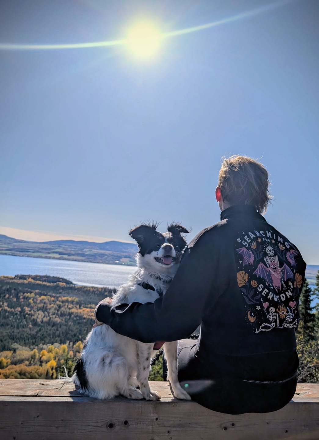 Customer photo review of Searching for Serotonin 1/4 Zip Sweater