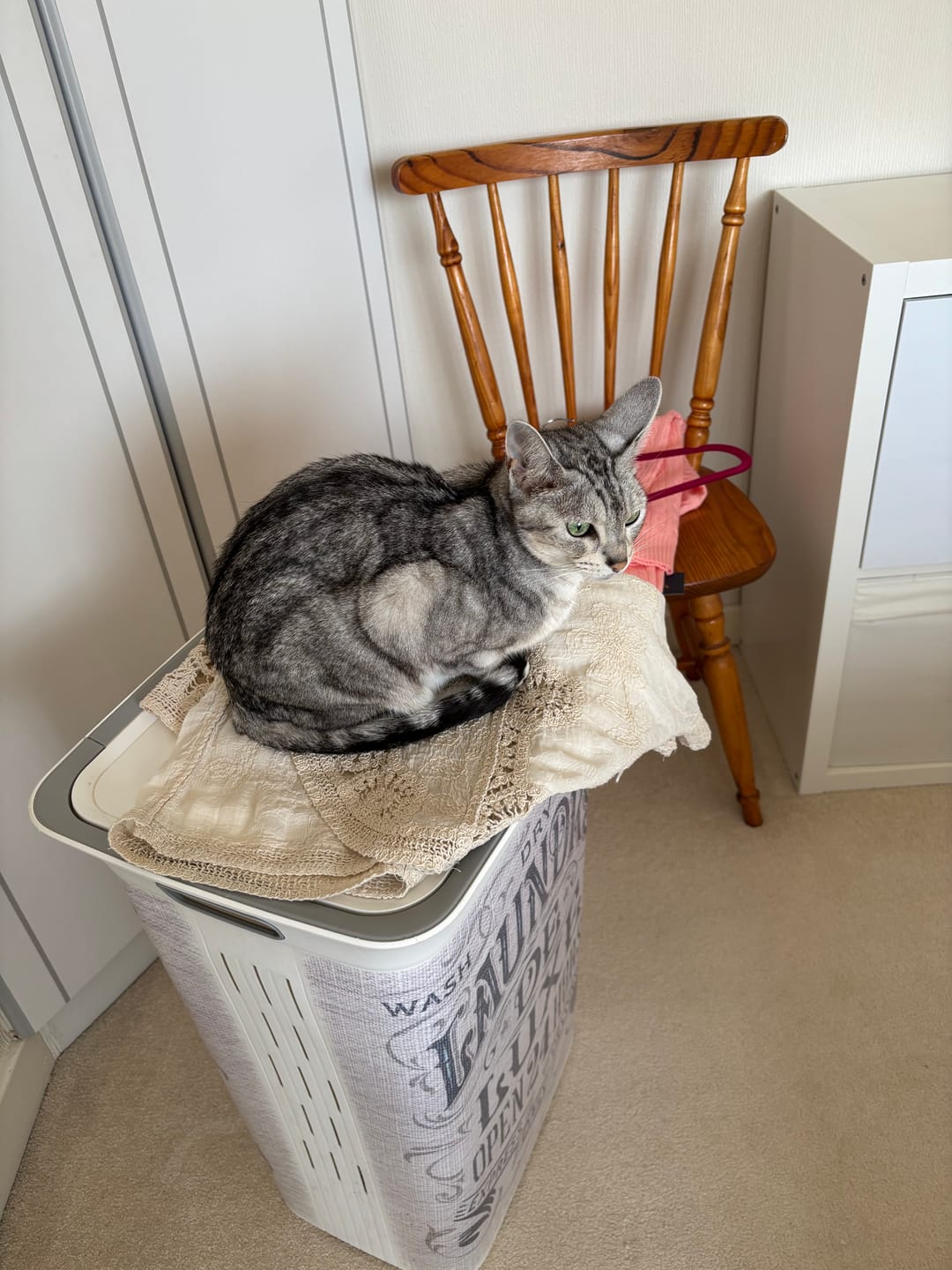 Customer photo review of W225 Scented Range - 10KG