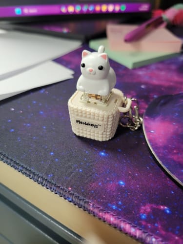 Customer photo review of Meowkey - Fidget Toy that Meows!