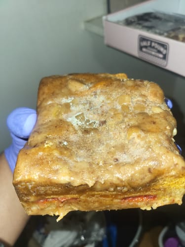 Customer photo review of Fall Favorites Bundle