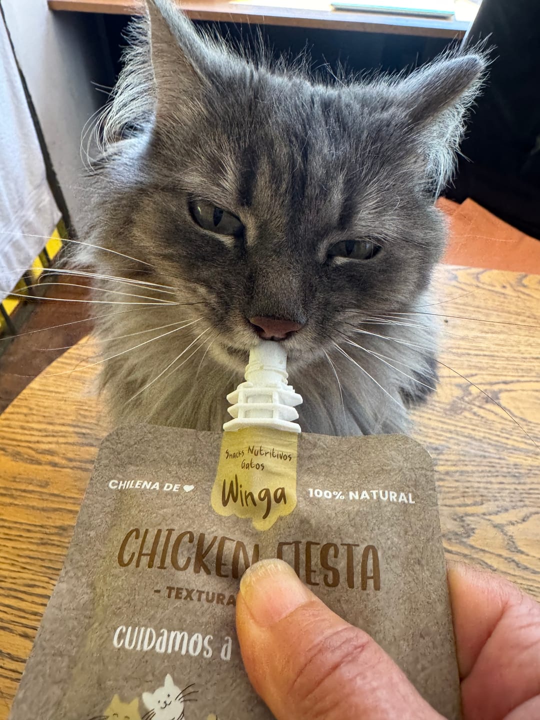 Customer photo review of Chicken Fiesta Gatos