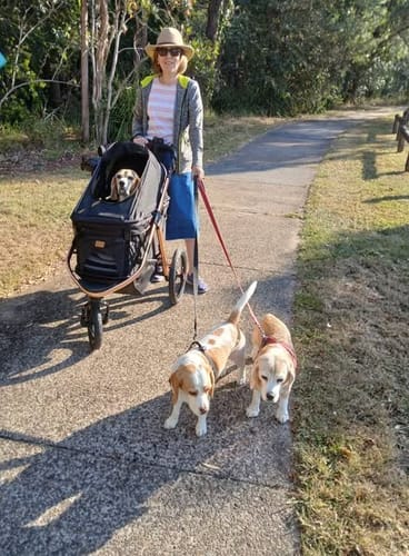 Customer photo review of Sports Large Pet Stroller