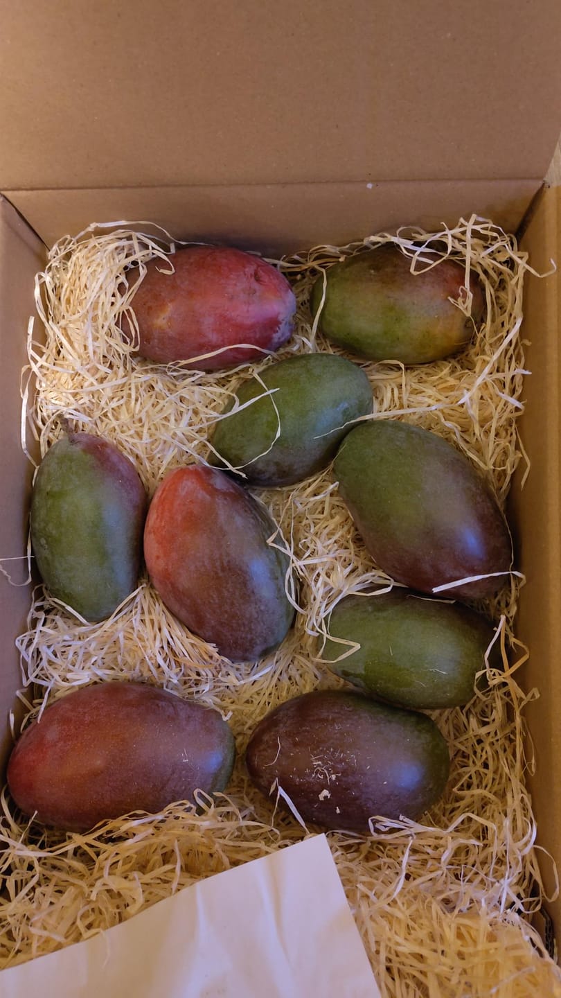 Customer photo review of Mango Osteen Bio von Julian Sonderaktion %