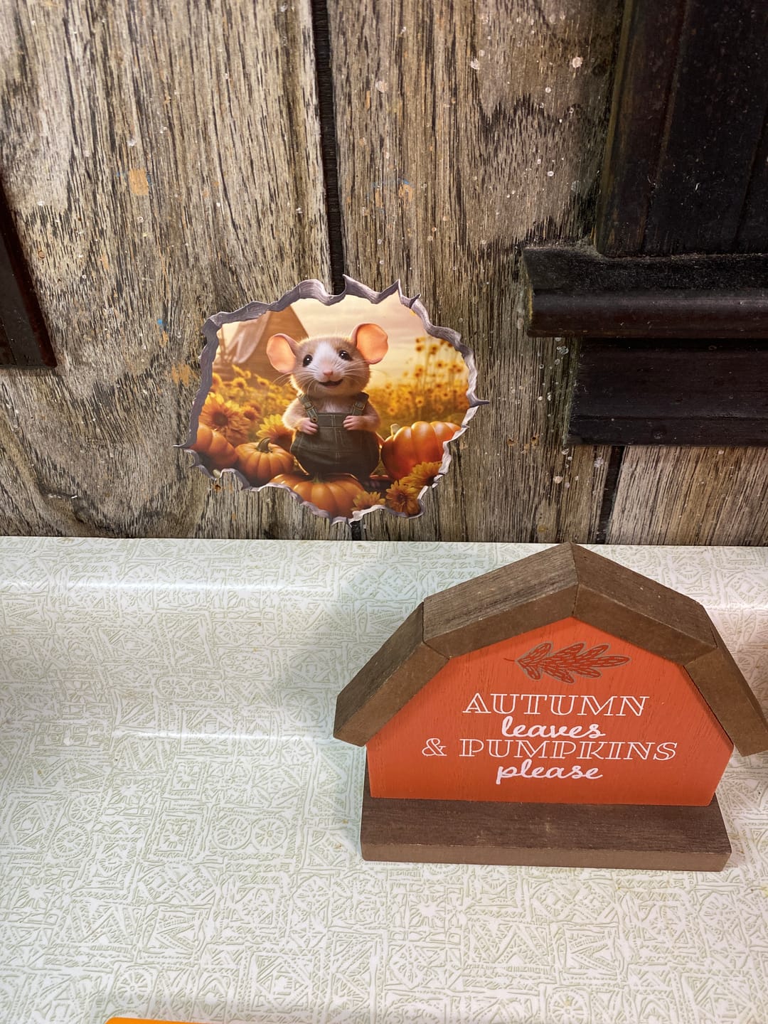 Customer photo review of Pumpkin Patch Mouse Hole Decal