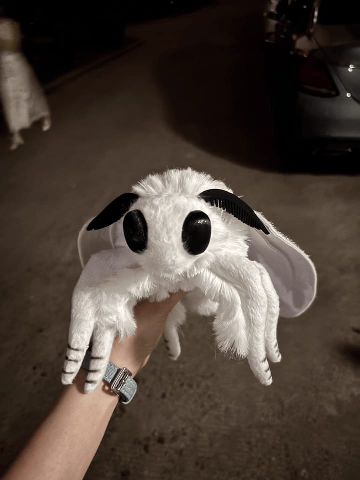 Customer photo review of Realistic Fall Webworm Moth Plush – Soft, Detailed, and Perfect for Nature Enthusiasts