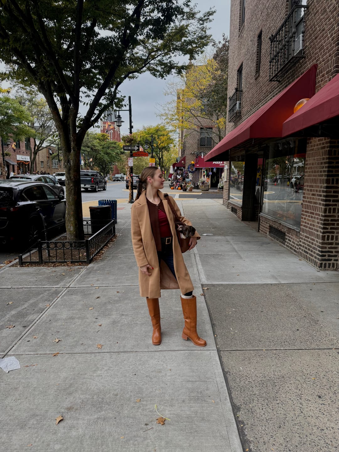 Customer photo review of Chocolate Brown Pet Tote Bag