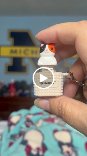 Customer video review of Meowkey - Fidget Toy that Meows!