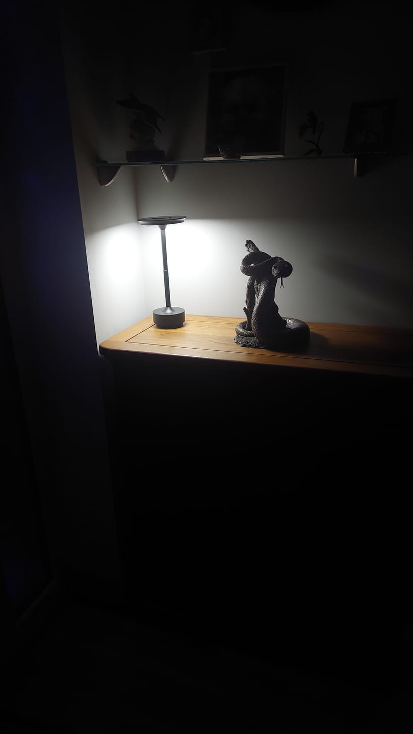 Customer photo review of Cordless Modern Aura Table Lamp - Cordless Table Lamp with Touch Control & Modern Nordic Design