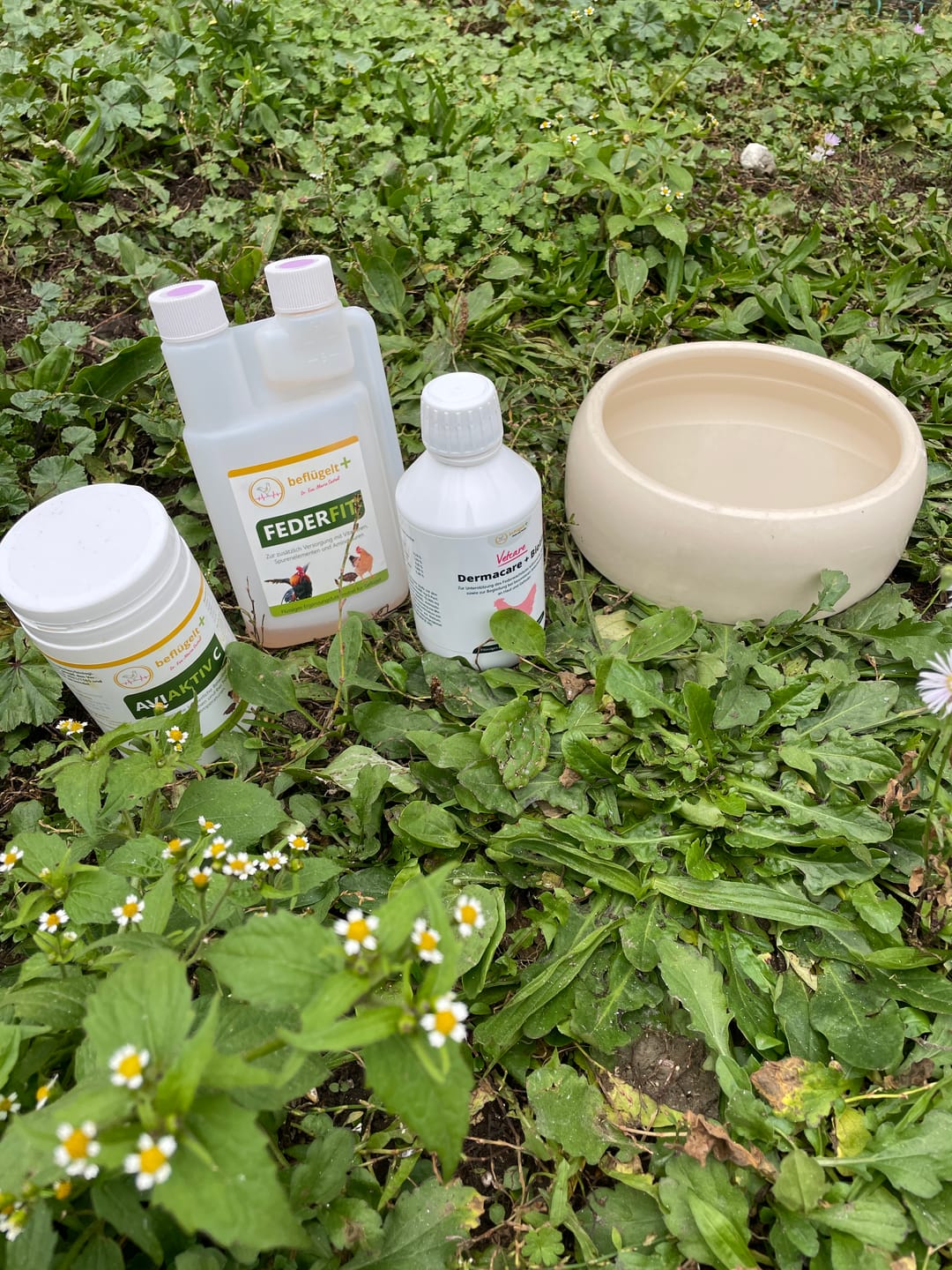 Customer photo review of Aviaktiv C - Vitamin C für Hühner