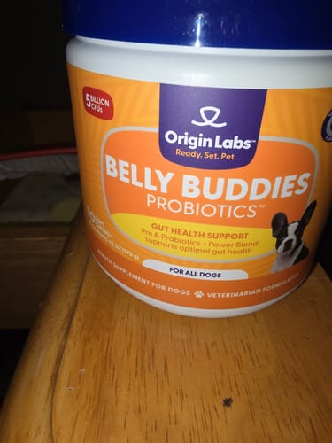 Customer photo review of Belly Buddies Probiotics for Dogs