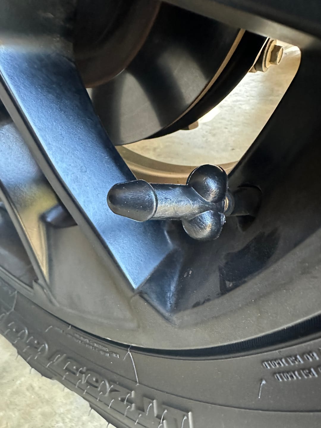 Customer photo review of Tirecockz Prank Dick Shaped Valve Stem Caps