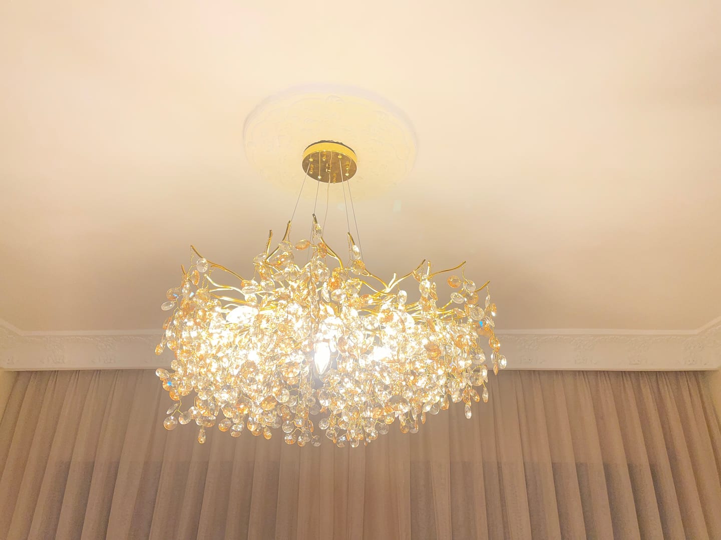 Customer photo review of Lustre BELONG