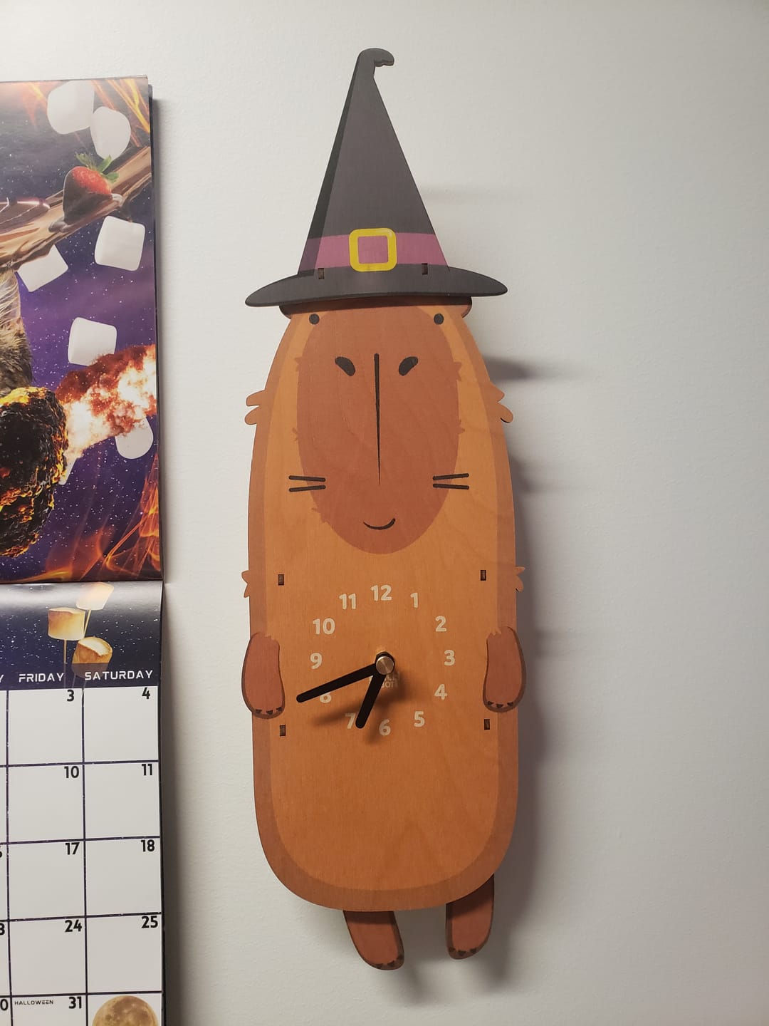 Customer photo review of Witch Hat