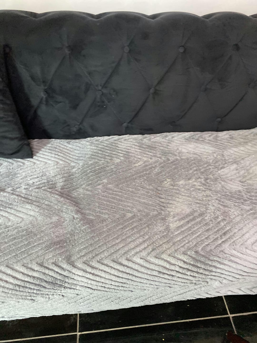 Customer photo review of SnugGrip - Honden Bankhoes Antislip Pluche