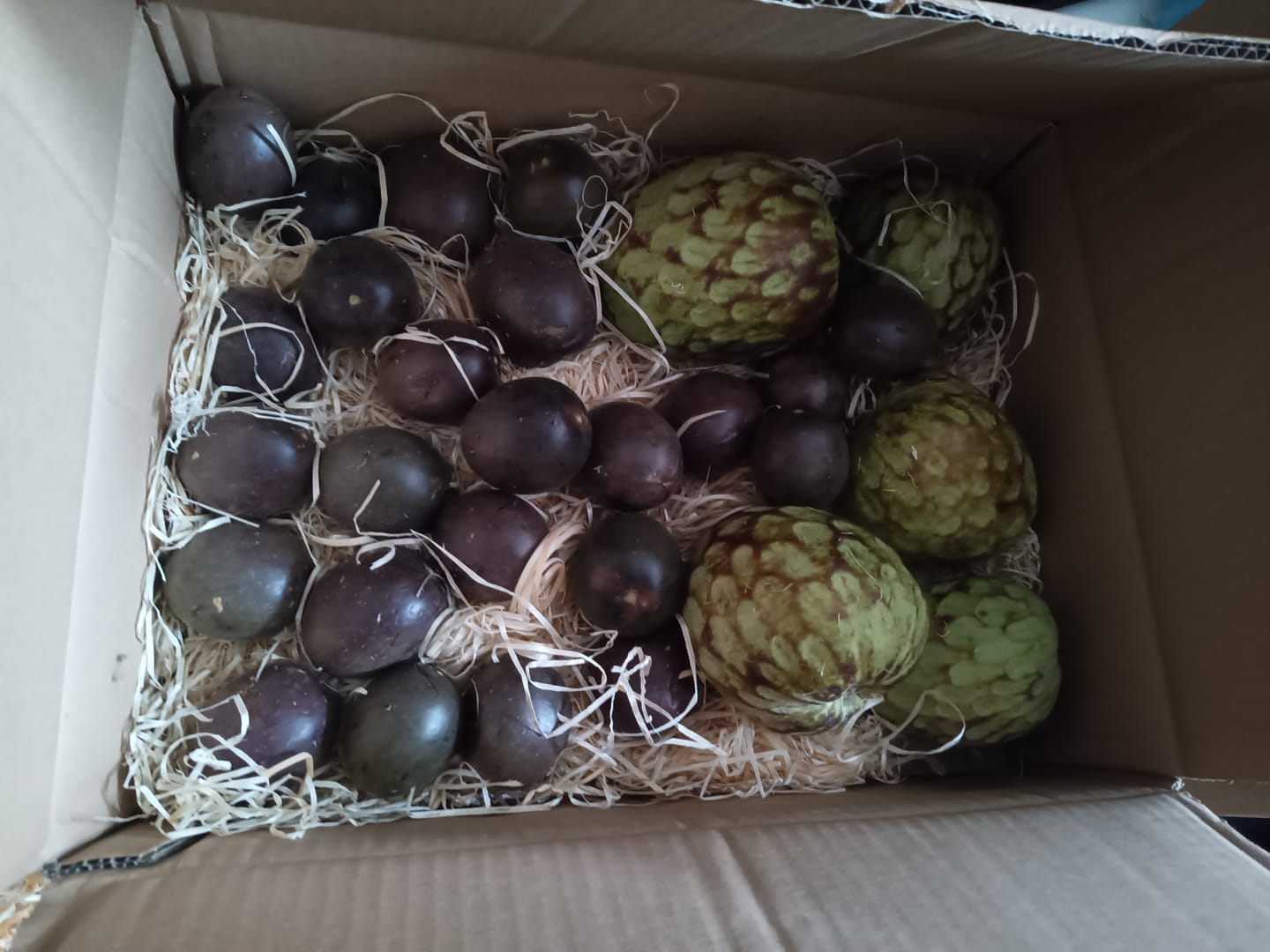 Customer photo review of Cherimoya Bio von Julian
