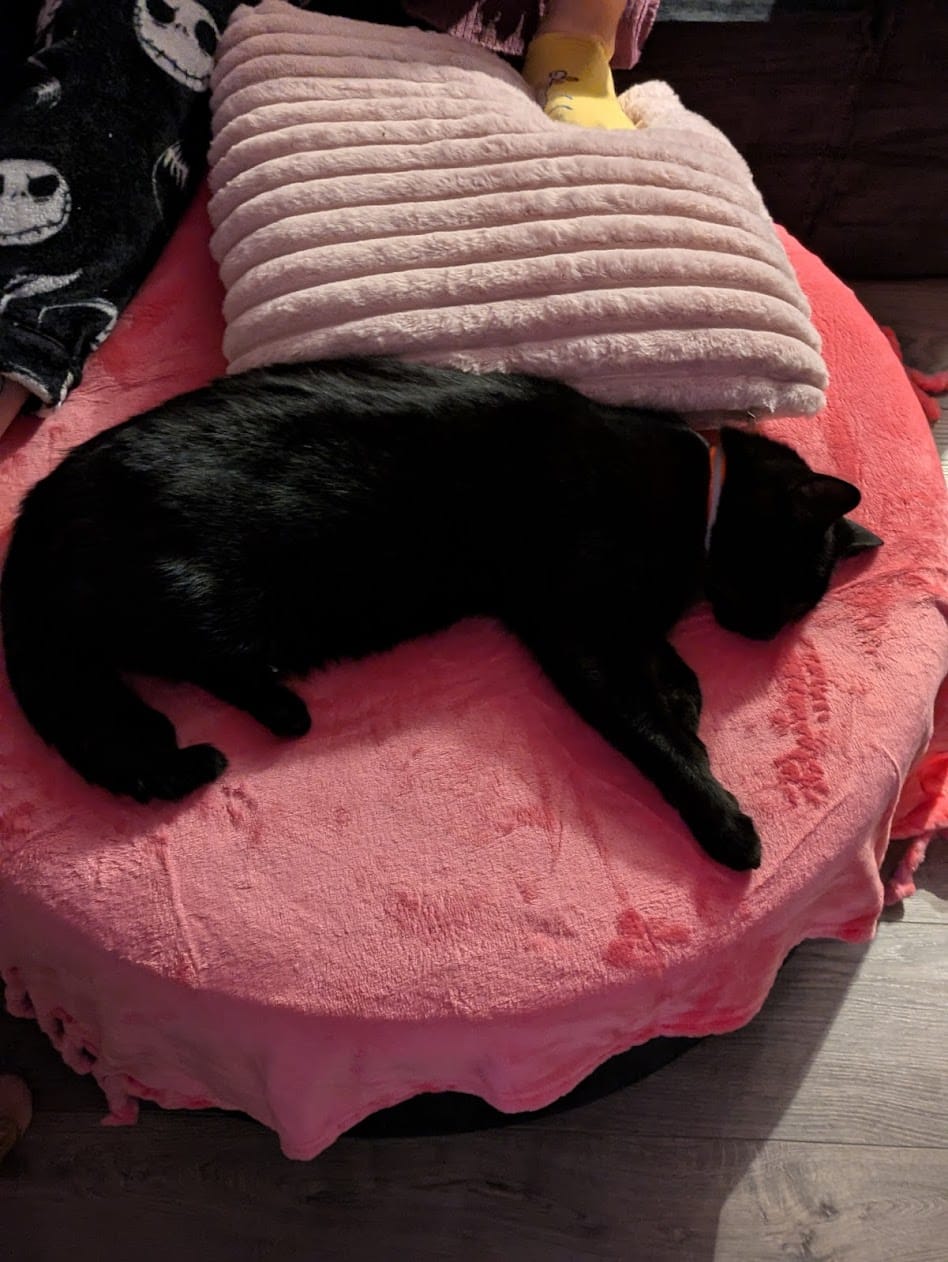 Customer photo review of C8 Round Pouf Ottoman