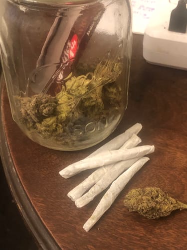 Customer photo review of Skywalker OG - 28 Grams - Minis (Indica)