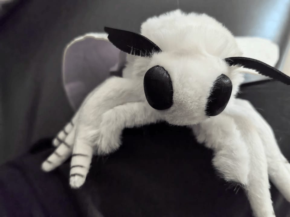 Customer photo review of Realistic Fall Webworm Moth Plush – Soft, Detailed, and Perfect for Nature Enthusiasts