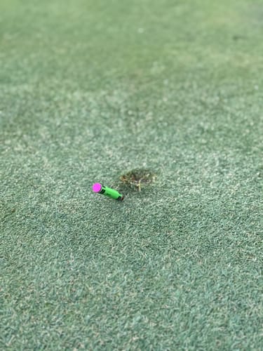 Customer photo review of 🍉 Slice Free Crayon Golf Divot Tool (Melon)