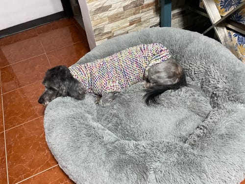 Customer photo review of Cama Antiestrés para Perros