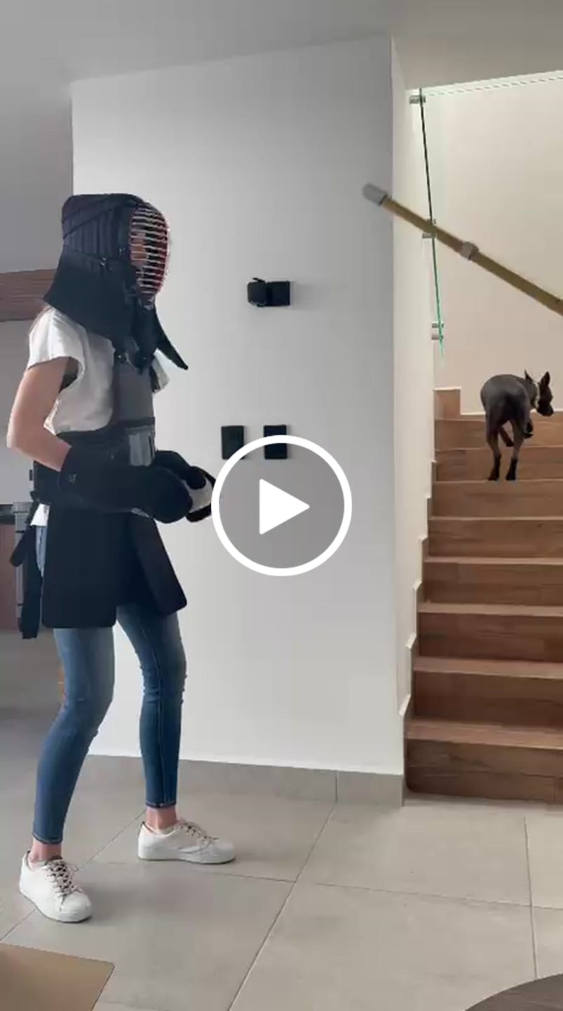 Customer video review of *SPECIAL OFFER!* - 'VANGUARD MYRMIDON' Super Protective GUARD-STITCH KendoStar Bogu Set