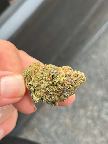 Customer photo review of Skunk Junction