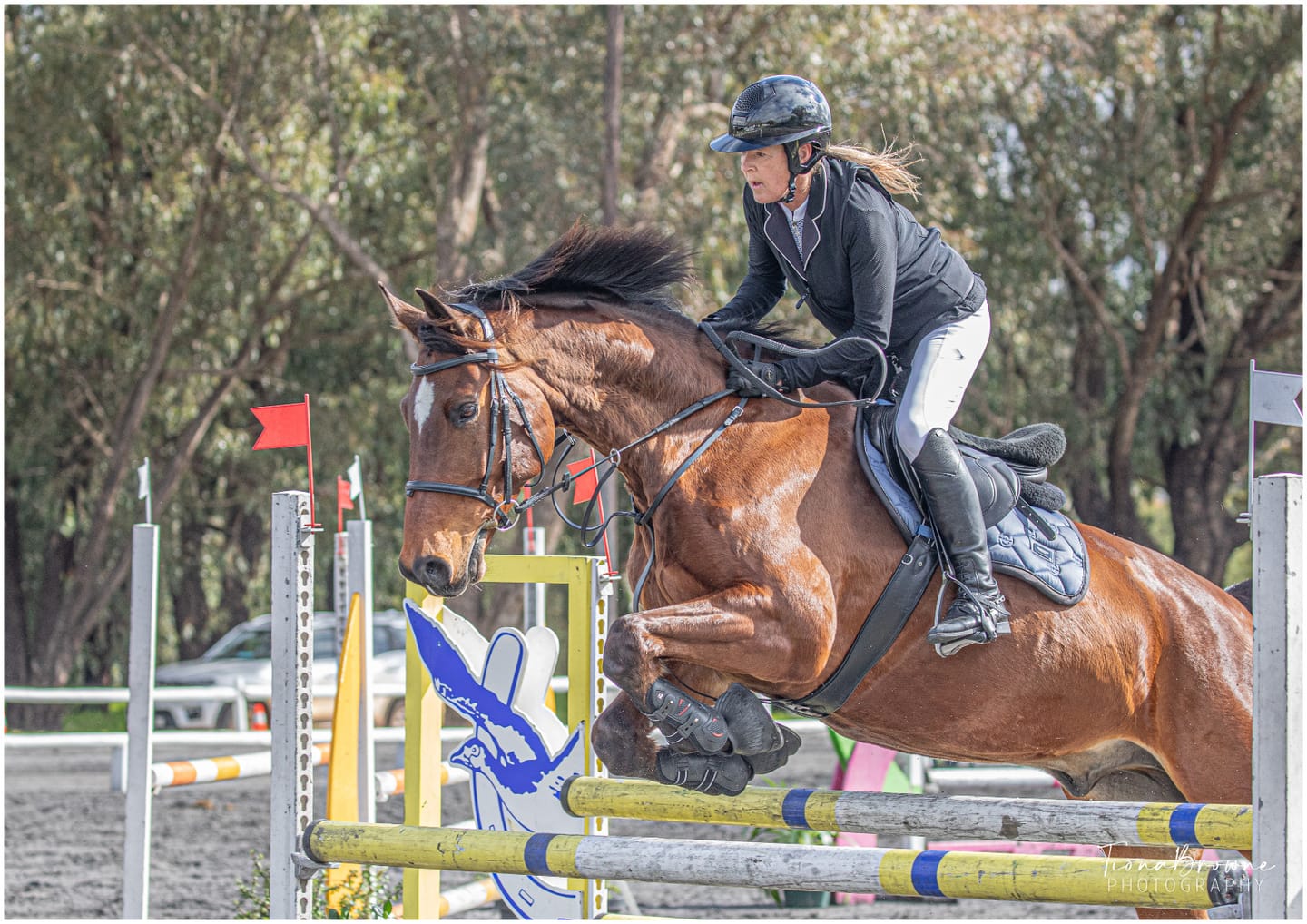 Customer photo review of Flexcare Equine (Joint Supplement For Horses)