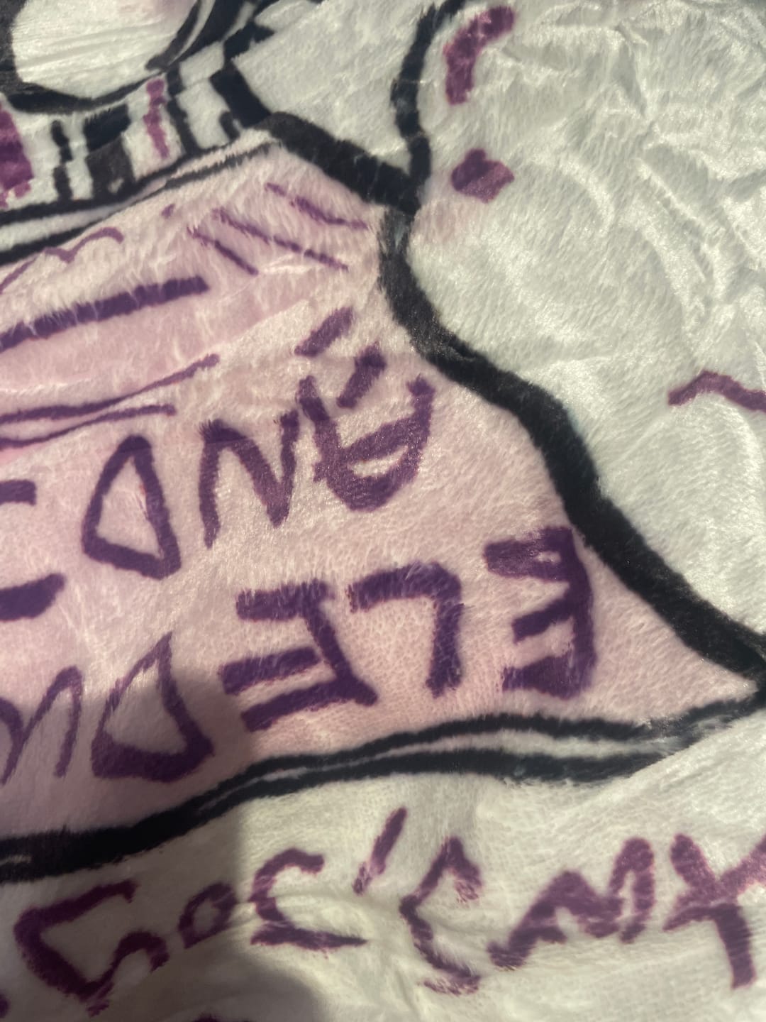 Customer photo review of Mystery Throw Blankets